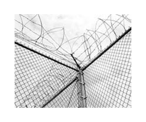 Greece to build fence to stop migrants