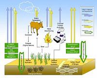 Greenhouse gas 'bookkeeping' turned on its head