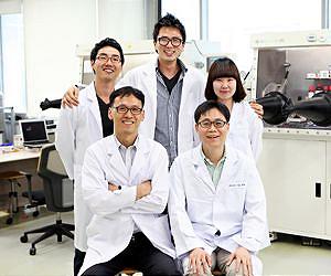 Two in one solution for low cost polymer LEDs and solar cells