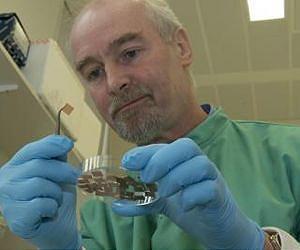 Copper restricts the spread of global antibiotic-resistant infections