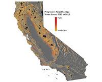 Tens of millions of trees in danger from California drought