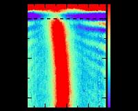 Graphene plasmons go ballistic