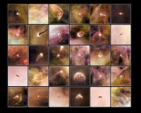 Born In Beauty: Proplyds In The Orion Nebula