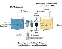 Novel pretreatment could cut biofuel costs by 30 percent or more