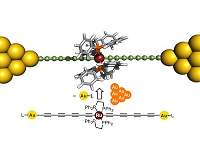 New molecular wires for single-molecule electronic devices