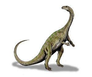 Ancient dinosaur nursery is the oldest nesting site ever found