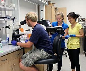 Pico-world of molecular bioscavengers, mops and sponges being designed