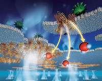 Protein pores packed in polymers make super-efficient filtration membranes