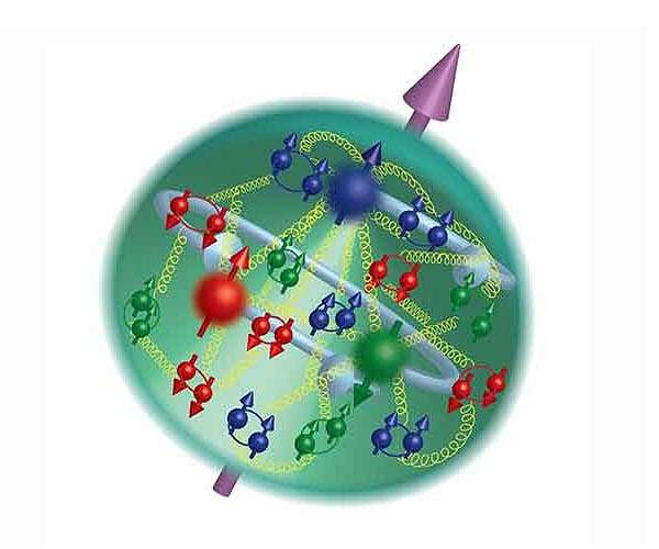 New study sheds light on proton spin