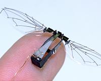 Researchers design minimalist microrobots for tiny tasks