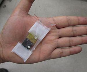 Microwave oven cooks up solar cell material
