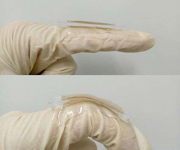 MXene infused printed nanogenerator advances ecofriendly wearable energy systems