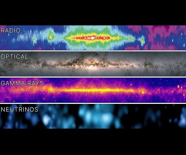 The secret life of neutrinos