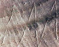 Archaeologists say ancient shell engraving is oldest human art