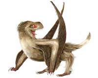 HKU fossil imaging helps push back feather origins by 70 million years