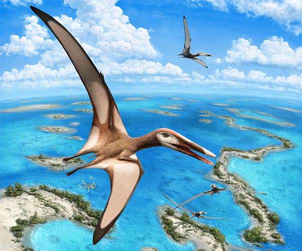 Massive flying pterosaurs had spoked vertebrae to support especially long necks