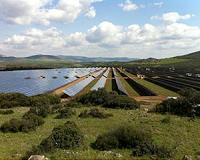 Spain takes forward step on renewable energy