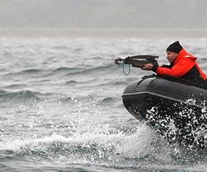 'Living dangerously', Russia's Putin chases whales on high seas