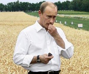 Russia wants to complete Kyoto talks: Putin