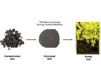 Scientists turn oily soil into fertile ground