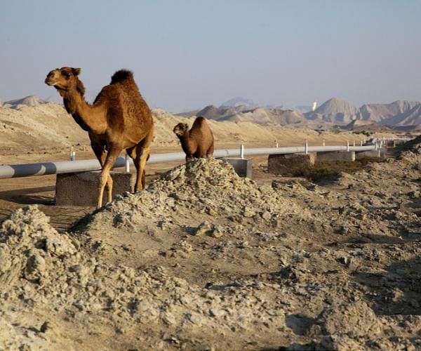 US renews waiver allowing Iraq to buy Iranian gas