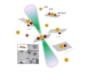 DNA and quantum dots: All that glitters is not gold
