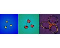 UChicago physicists first to see behavior of quantum materials in curved space