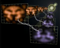 Physicists Produce Quantum-Entangled Images