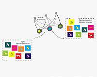 Artificial intelligence techniques reconstruct mysteries of quantum systems