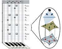 Swansea University's physicists develop a new quantum simulation protocol