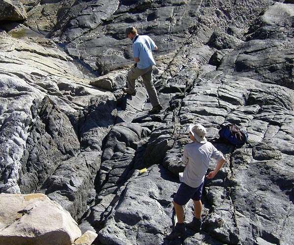 Ancient zircon data reveals tectonic origin of Earth's first continental crust