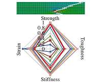 Nature's toughest substances decoded