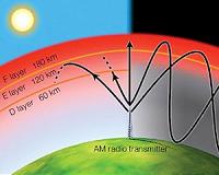 Radio waves affect migrating birds: study