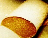 Nuclear waste dump plan on Aboriginal land abandoned