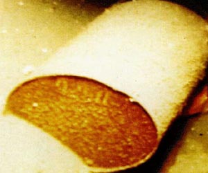 Cold War's nuclear wastes pose challenges to science, engineering, society