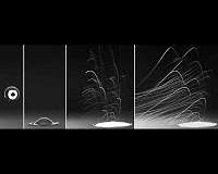 A light rain can spread soil bacteria far and wide