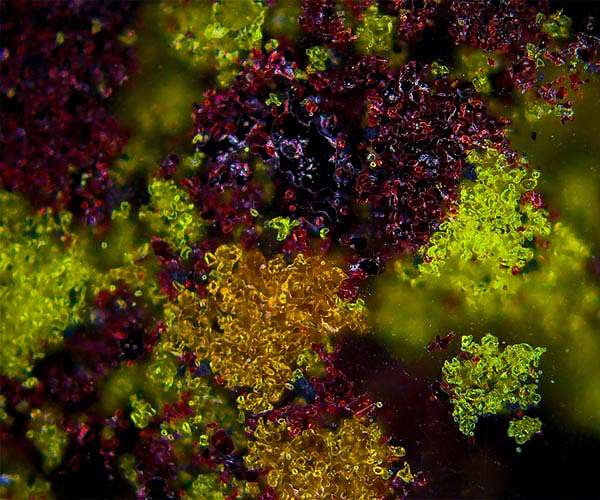 Rare earths: strategic metals key to future tech
