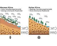 More 'reactive' land surfaces cooled the Earth down