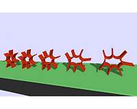 UCLA and Carnegie Mellon researchers develop real-time physics engine for soft robotics