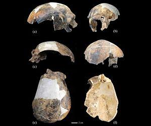New evidence of interhuman aggression and human induced trauma 126,000 years ago