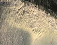 Iron-Loving Bacteria A Model For Mars Life