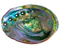 Researchers discover mother of pearl production process