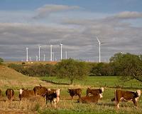 New wind farm study a load of hot air
