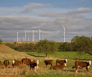 Dakota Wind Energy Accepted Into Big Stone 2 Transmission Backfill