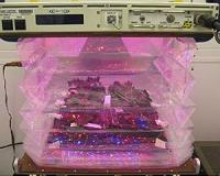 Veggie Will Expand Fresh Food Production on ISS