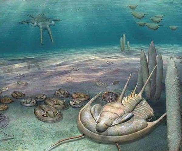 Story of Cambrian Explosion complicated by ancient mudslides