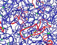 New strategy produces stronger polymers