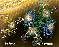 USU chemists shed new light on global energy, food supply challenge