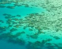 Australia's Barrier Reef 'risks becoming dumping ground': WWF