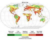 New map of world vegetation reveals substantial changes since 1980s